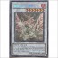 블랙로즈드래곤(CSOC-KR039) B+급 1st Edition