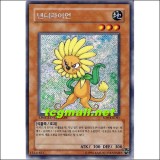 댄디라이언(SD8-KRDS1)B급