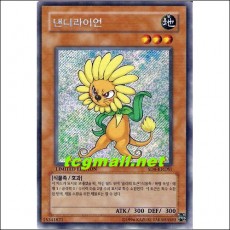 댄디라이언(SD8-KRDS1)B급