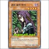검은숲의마녀(SDP-KR014)
