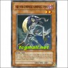 데스티니히어로디파티드가이(PTDN-KR015)