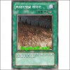 트라이앵글에리어(CRMS-KR062)