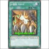 스탬핑크러시(SD19-KR024)