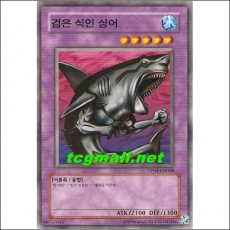 검은식인상어(TP04-KR008)