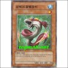 심해의왕뱀장어(EXP1-KR026)
