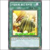 기갑인법골드컨버전(ORCS-KR051)